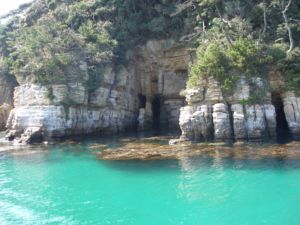 パワースポット壱岐を巡る②なんといっても辰の島!_d0082655_11513869.jpg