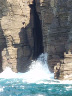 パワースポット壱岐を巡る②なんといっても辰の島!_d0082655_12134263.jpg