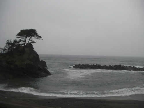 d0147157_653178.jpg