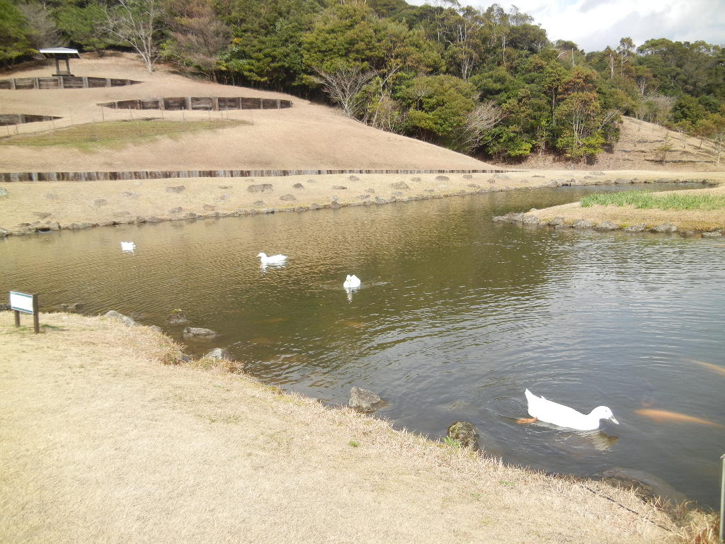 ２０１２年４月２日（月）あちこちで桜の開花宣言！_f0060461_12274732.jpg