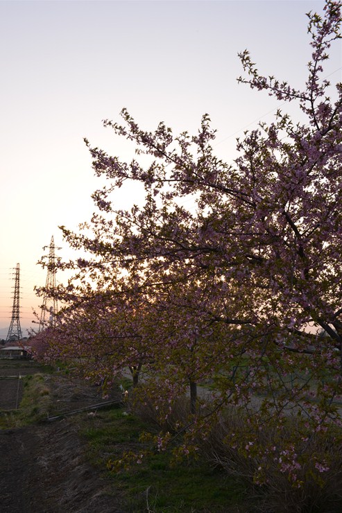 f0222161_21161012.jpg