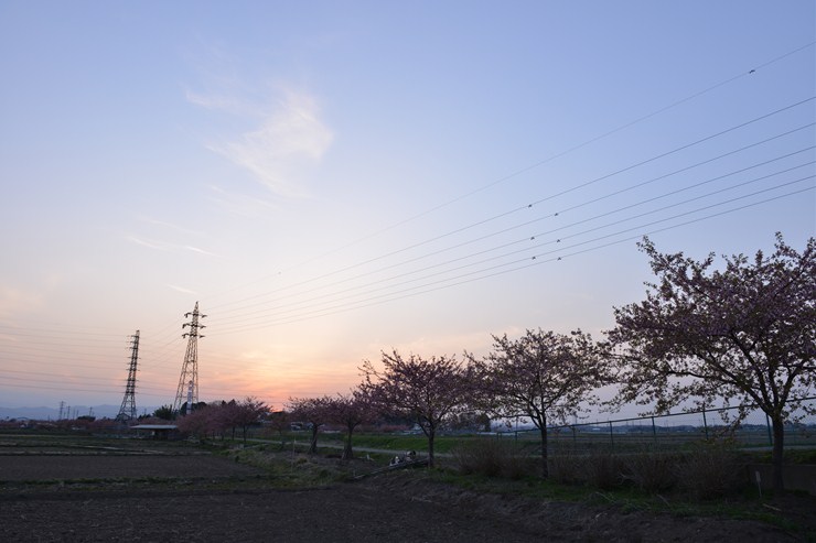 f0222161_21162654.jpg