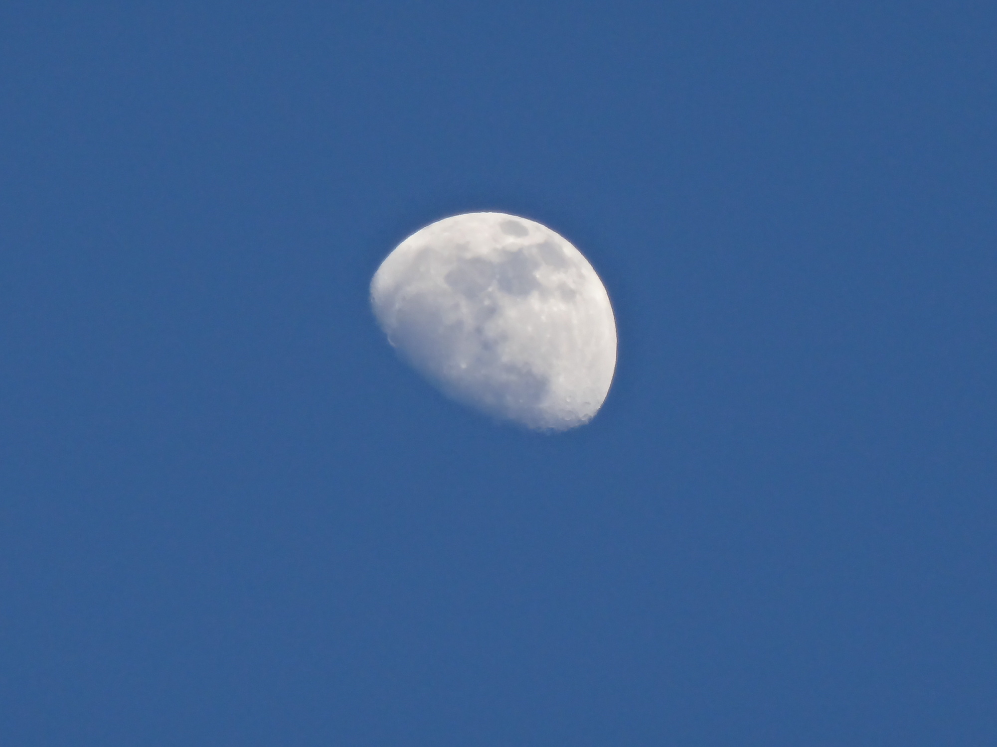 e0015567_2010238.jpg