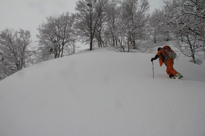 4月1日　三ヶ辻山_f0223068_7313845.jpg