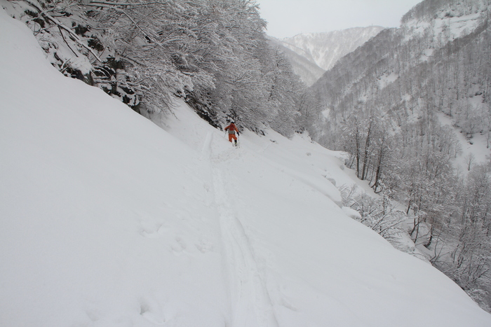 4月1日　三ヶ辻山_f0223068_7401585.jpg