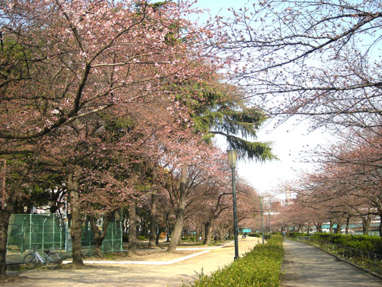a0242682_1645940.jpg