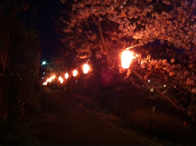 4月2日 夜桜in静岡_d0171384_1642579.jpg