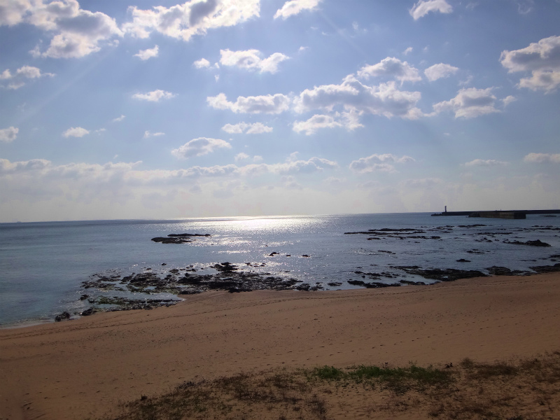 2012/03/24-25 高知トレイルセッションDay.2_b0220886_10322255.jpg