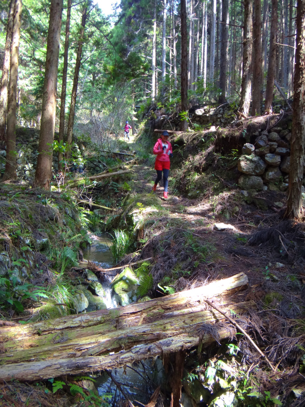 2012/03/24-25 高知トレイルセッションDay.2_b0220886_1053073.jpg