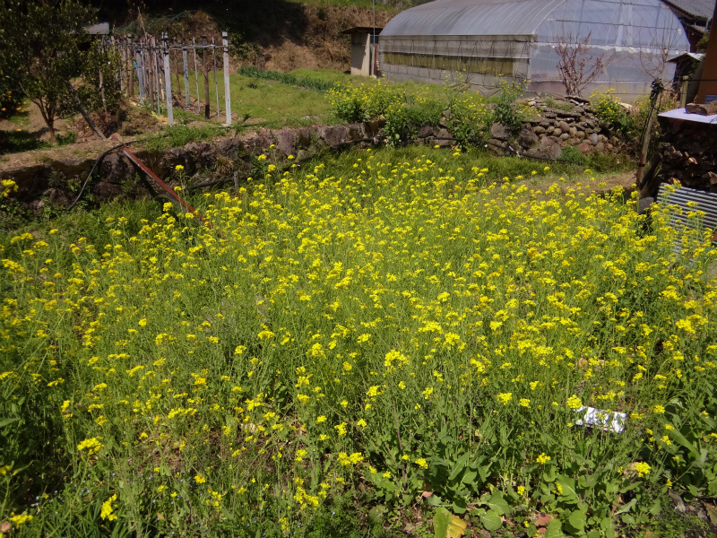 2012/03/24-25 高知トレイルセッションDay.2_b0220886_1102534.jpg