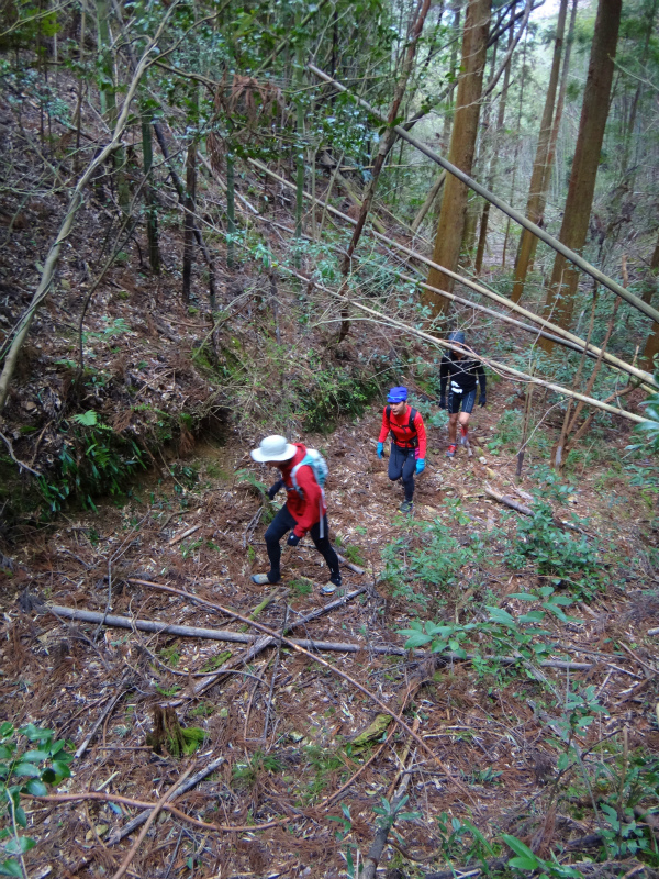 2012/03/24-25 高知トレイルセッションDay.2_b0220886_1125279.jpg