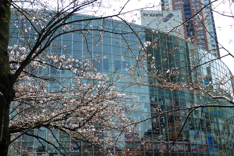 a0127090_22562958.jpg
