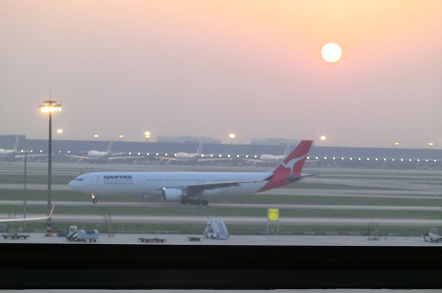 d0181492_1141566.jpg