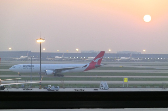 d0181492_1142642.jpg
