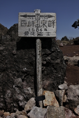 a0141193_1816866.jpg