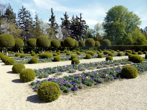 ソー公園にお花見に行って来たの。_c0090198_623127.jpg