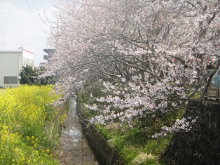 e0143298_1744452.jpg