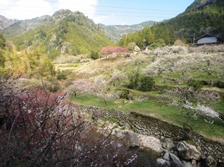 e0143298_17491076.jpg