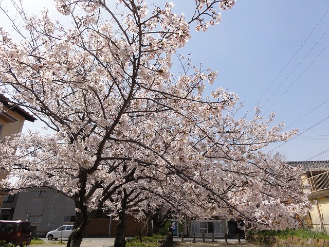 c0125501_22461126.jpg