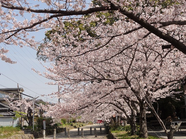 c0125501_2247189.jpg