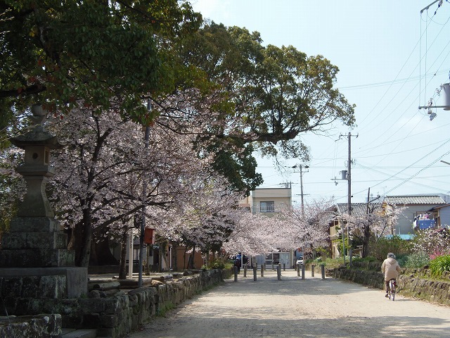 c0125501_2247718.jpg