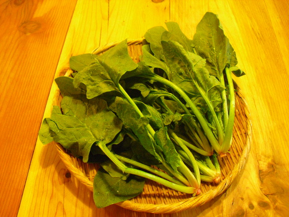 a0200902_14253449.jpg