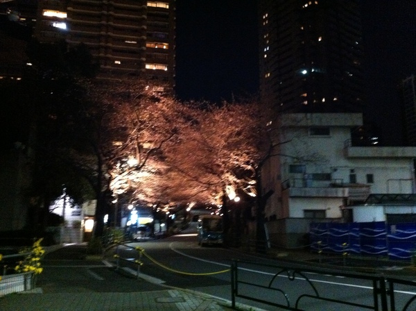 平成24年度税制改正法は3/30に成立、そして固定資産税評価替えと夜桜_d0054704_021748.jpg