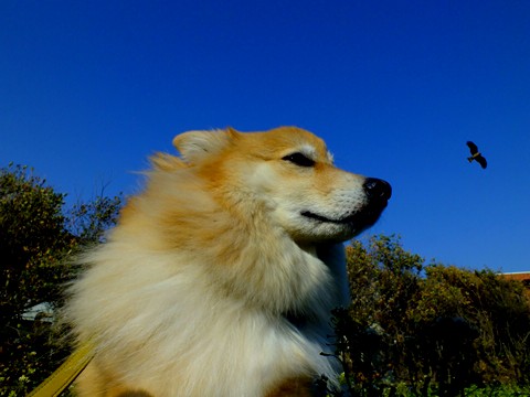 e0242804_21182076.jpg