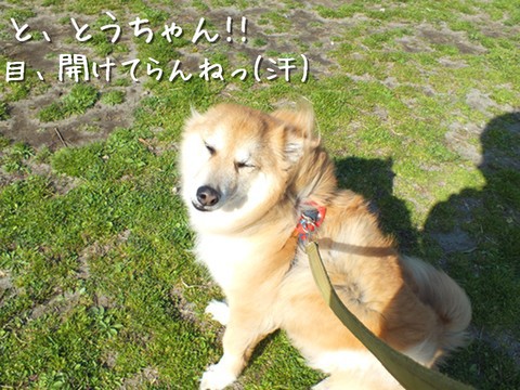 e0242804_2122972.jpg