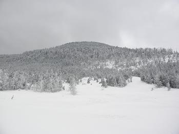 d0032405_2253345.jpg