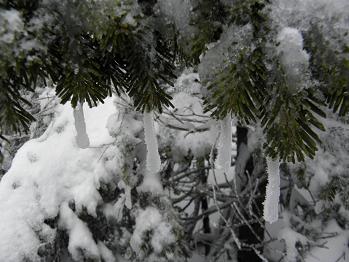 d0032405_22591757.jpg