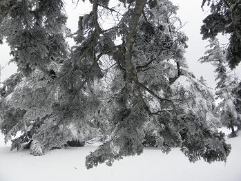 d0032405_232784.jpg