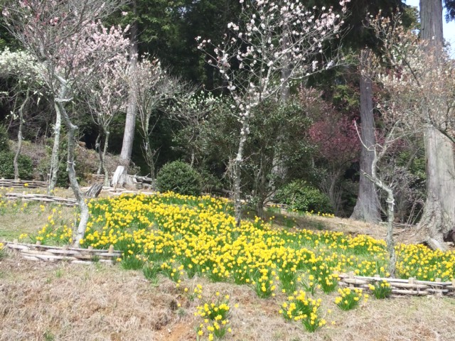 「石山寺へ」　～滋賀県大津市～_e0252905_18174639.jpg