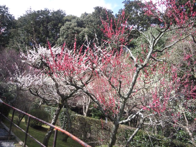 「石山寺へ」　～滋賀県大津市～_e0252905_1874236.jpg