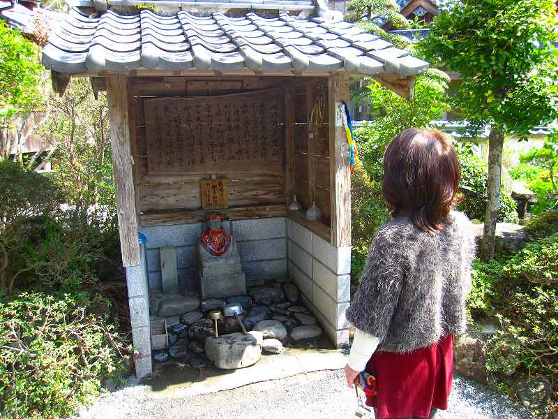 足摺岬　38番金剛福寺　9番延光寺　　40番観自在寺　　41番龍光寺　　42番佛木寺　　43番明石寺_b0124306_231354.jpg