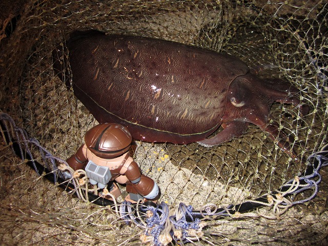 c0242706_21384775.jpg
