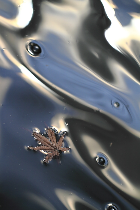 f0210808_024134.jpg