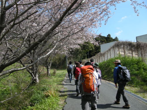 城山・金山　2012.04.01_f0196109_19551840.jpg