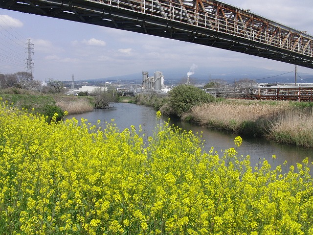 f0141310_795815.jpg