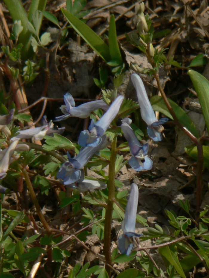 f0219710_8473439.jpg