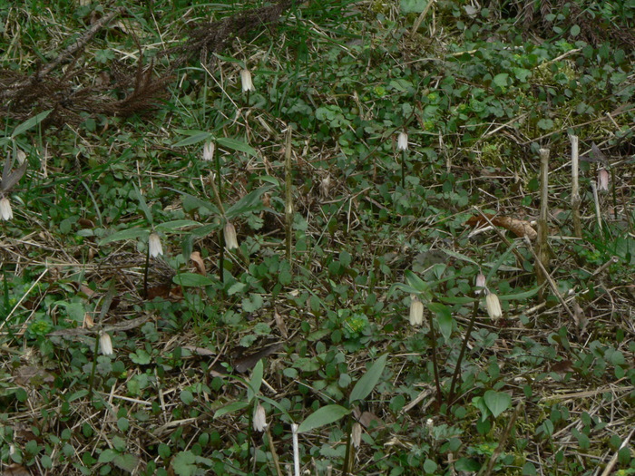 f0219710_8492221.jpg