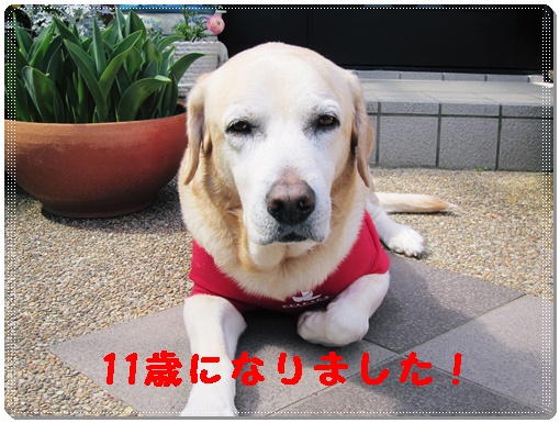 a0197911_9275060.jpg