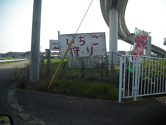 4月の嵐_d0106911_1938054.jpg