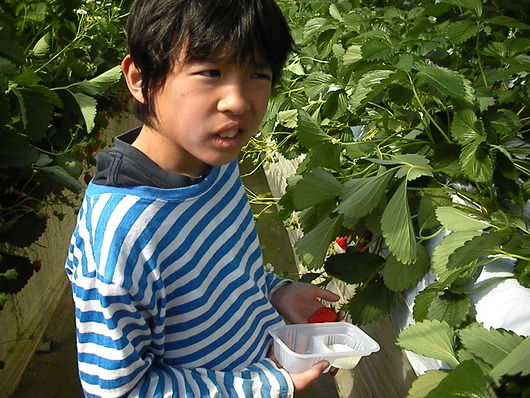 4月の嵐_d0106911_19412313.jpg