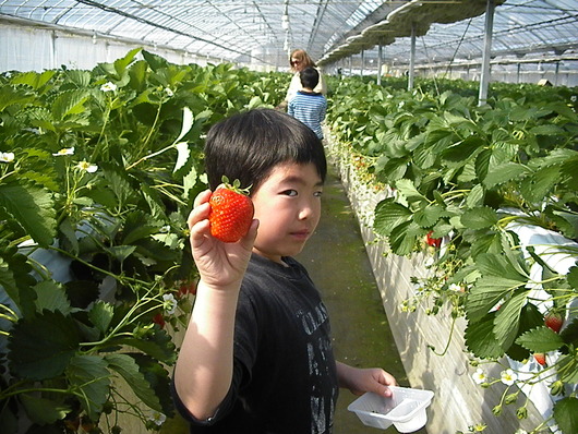 4月の嵐_d0106911_1942359.jpg