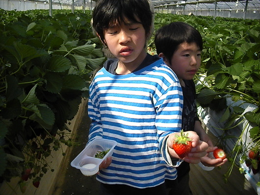 4月の嵐_d0106911_19433084.jpg
