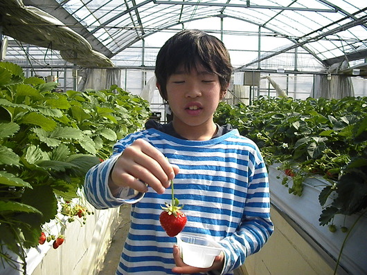 4月の嵐_d0106911_1944251.jpg