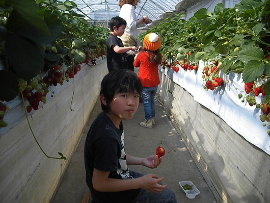4月の嵐_d0106911_19445824.jpg