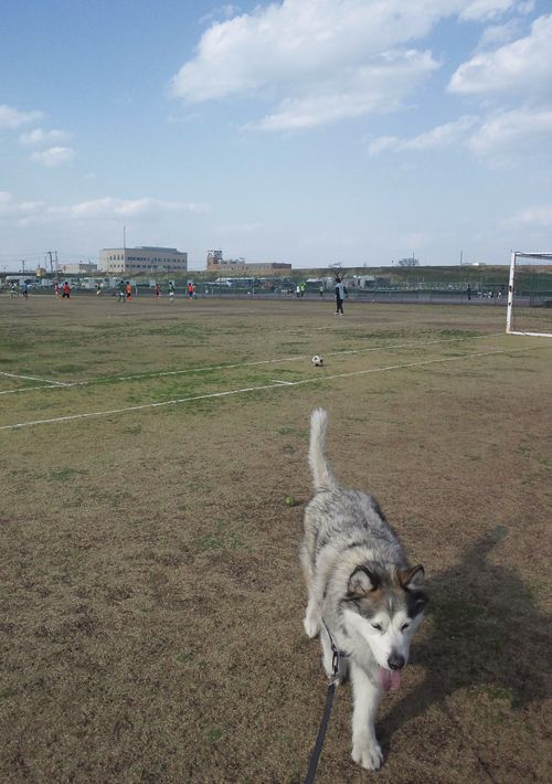 d0241911_19523024.jpg