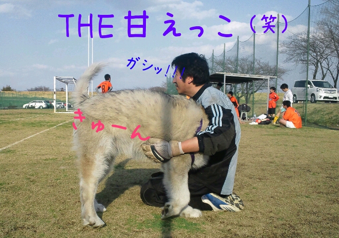 d0241911_1955815.jpg